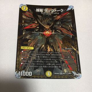 煌龍 サッヴァーク