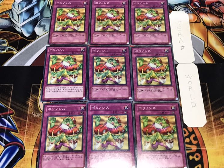 ポリノシス ノーマル 9枚セット てら