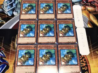 ファイバーポッド ノーマル 9枚セット てら