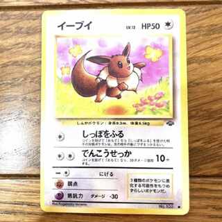 Pokémon card Eevee Trekkie Pokémon old back, rare, Satoshi.