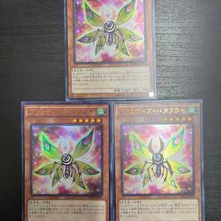 プリミティブ・バタフライ　3枚