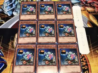 遅すぎたオーク ノーマル 9枚セット てら