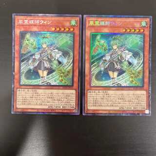 Wynn the Wind Channeler Collector's 2 copies