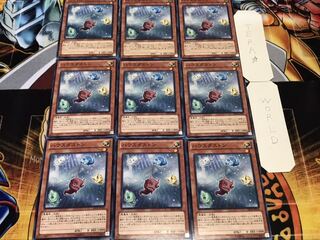 ハウスダストン ノーマル 9枚セット てら