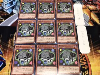 腐乱犬 ノーマル 9枚セット てら