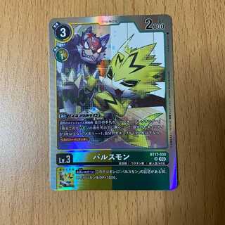 SR Pulsmon
