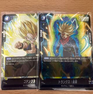 Trunks: Future SR FB01-050