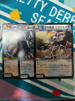 Spirit of the Summit Miracles Z｜Summit of Victory Volg Isolate 6th (medium) U 85a/112｜85b/112