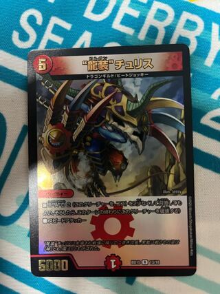 Dragon costume "Chu Squirrel R-foil 13/18 1枚