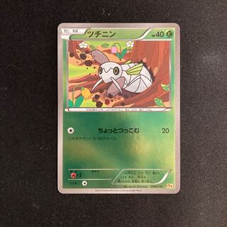f295 Nincada CP4 Premium Champion Pack Pokémon Treasurer