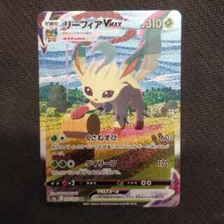 LeafeonVMAX HR S6a Eevee Heroes 089/069