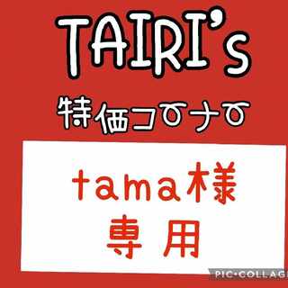 2/3 [Dedicated to Mr. TAMA] Insect catching set, 9 pieces