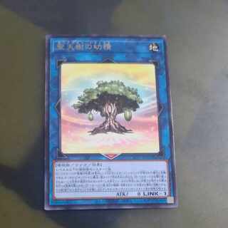 Fairy of the Holy Celestial Tree rare JP031 [Mokurindo