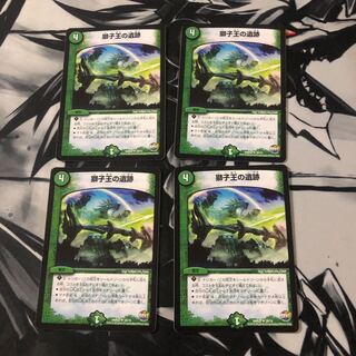 獅子王の遺跡　4枚