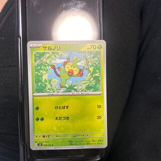 サルノリ C 008/101