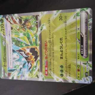 Ogapon Midori-no-men ex RR 016/101