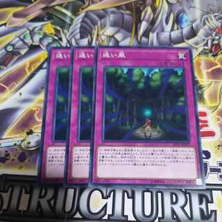 迷い風 ノーマル JP037