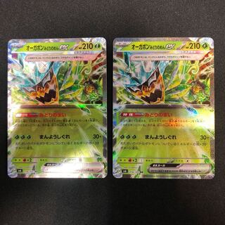 Ogapon Midori-no-men ex RR 016/101 2 copies