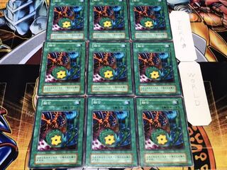 融合 初期 ノーマル 9枚セット てら