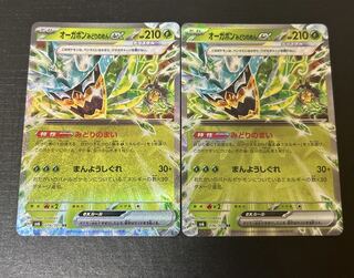 Ogapon Midori-no-men ex RR 016/101