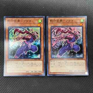 Shadow 6fuma 2 pieces