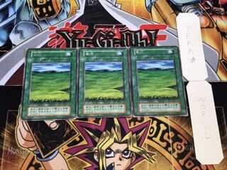 草原 初期 レア 3枚セット てら