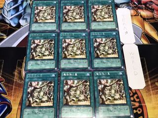 魔法族の里 レア 9枚セット てら