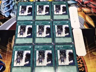 二重召喚 レア 9枚セット てら