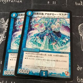 真実の名 アカデミー・マスター VR