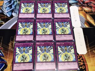 竜星の九支 レア 9枚セット てら