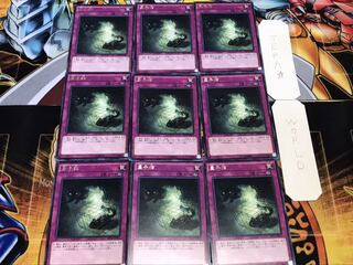 量子猫 レア 9枚セット てら