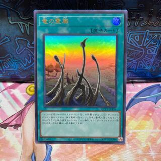 Dragon Shrine Ultra Rare QCCP-JP194