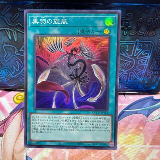Black Feather Whirlwind Super Rare QCCP-JP143