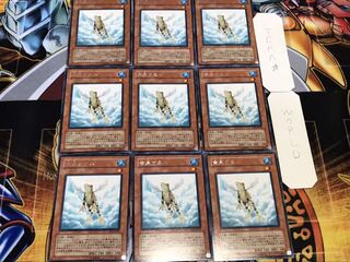 黄泉ガエル レア 9枚セット てら