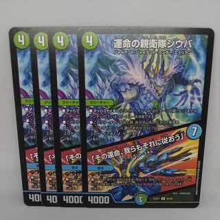 運命の親衛隊シウバ｜「その運命、我らもそれに従おう」 R 45/84