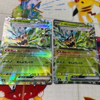 Ogapon Midori-no-men ex RR 016/101