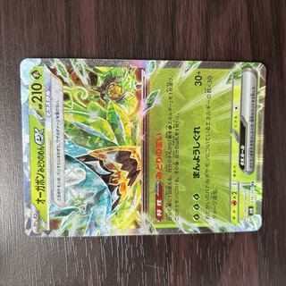 Ogapon Midori-no-men ex RR 016/101