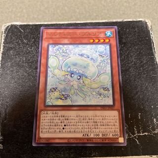 Multyamy Purulia rare INFO-JP027