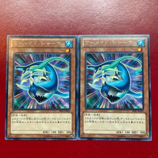 マーメイド・シャーク レア JP005