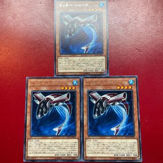 Buzzsaw Shark Rare JP019