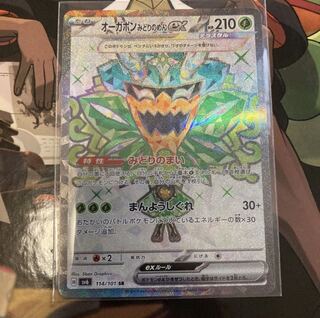 Ogapon Midori-no-men ex SR 114/101