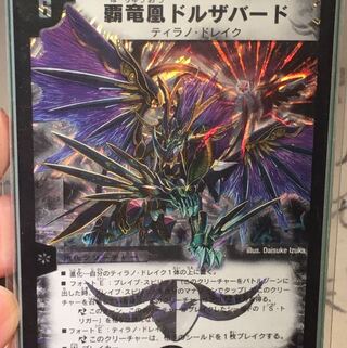 Haeryuang Phoenix dorsabird (Phoenix dorsabadensis)