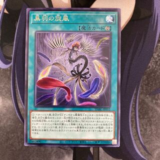 Black Feather Whirlwind Rare JP052