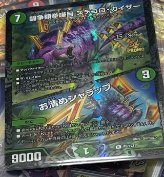 闘争類拳嘩目 ステゴロ・カイザー｜お清めシャラップ 10/20