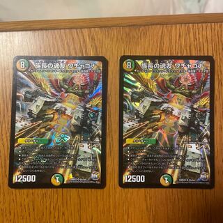 族長の魂友 ワチャゴナ SR S5/S9