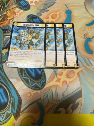 検問の守り 輝羅(黒トレジャー) U T6/T10