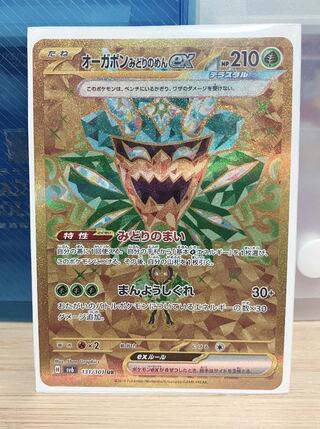 Ogapon Midori-no-men ex UR 131/101