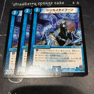 シンカイタイフーン