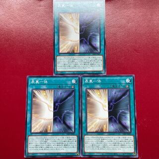 Lf 1 表裏一体 ノーマル 23PP-JP005