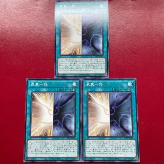 Agg 2 Aen  表裏一体 ノーマル 23PP-JP005